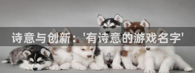 杏运体育官方网址