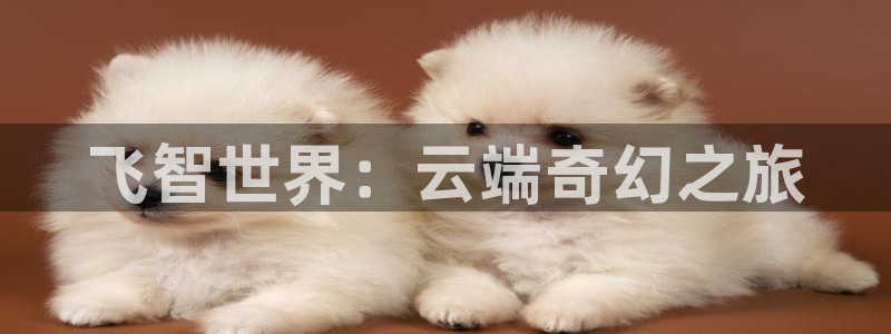 杏运体育app下载安装