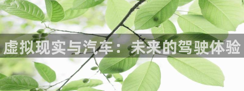 杏运娱乐手机端官网