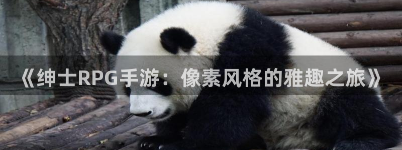 杏运体育官方网址