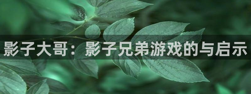 杏运连连