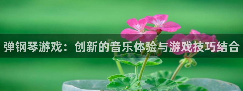 杏运体育：弹钢琴游戏：创新的音乐体验与游戏技巧结合