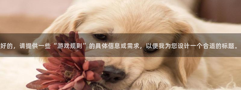 杏运娱乐怎么样：好的，请提供一些“游戏规则”的具体信息或需求