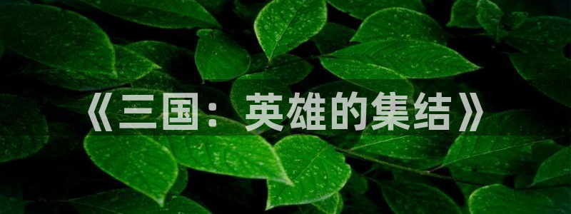 杏运娱乐注册流程