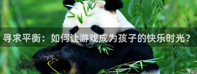 杏运电影免费观看