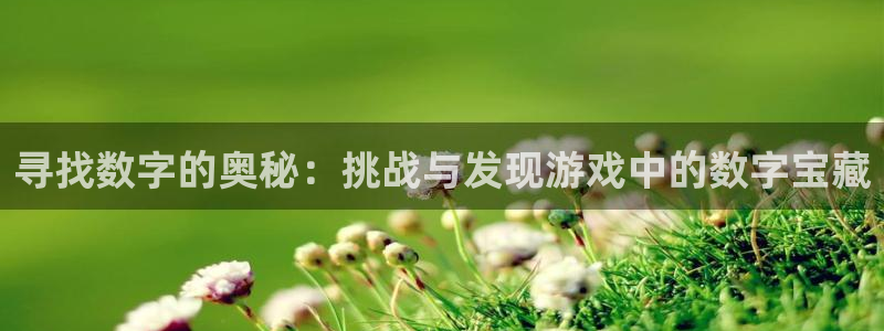 杏运娱乐注册：寻找数字的奥秘：挑战与发现游戏中的数字宝藏