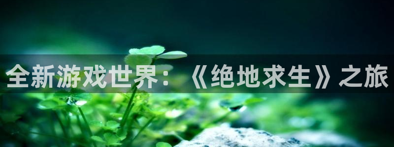 杏运娱乐怎么样