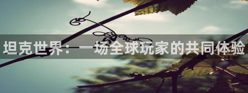 杏运体育官方网址：坦克世界：一场全球玩家的共同体验