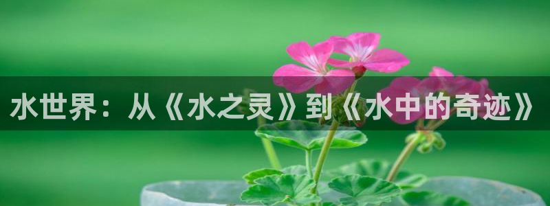 杏运娱乐手机端官网：水世界：从《水之灵》到《水中的奇迹》