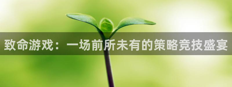 杏运体育app下载安装：致命游戏：一场前所未有的策略竞技盛宴